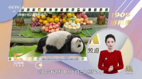 亚洲视频导航